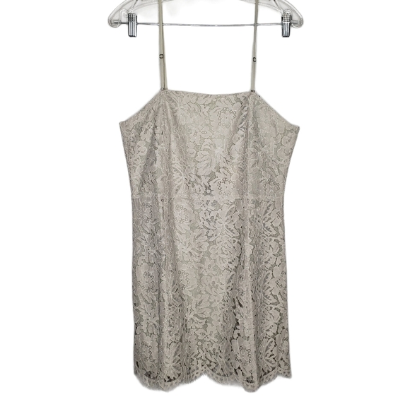 CHASER Gray Lace Mini Dress - Picture 1 of 12